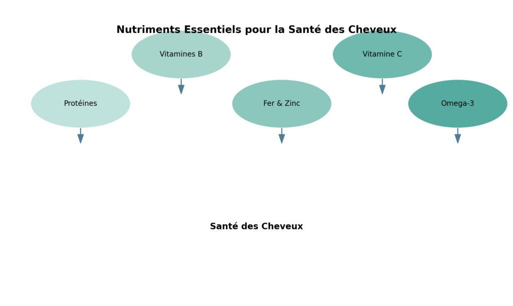 L'alimentation et l'hydratation pour des cheveux sains L'alimentation et l'hydratation pour des cheveux sains